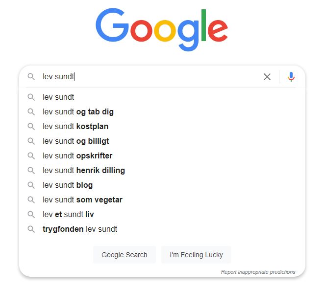 Lev sundt google serp eksempel
